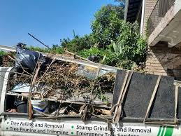 Shed Removal in Home Gardens, CA